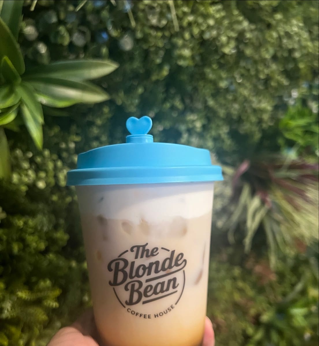 The Blonde Bean Coffee House