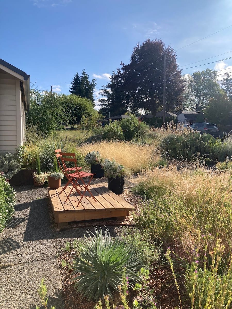 Cynara Plant Work LLC