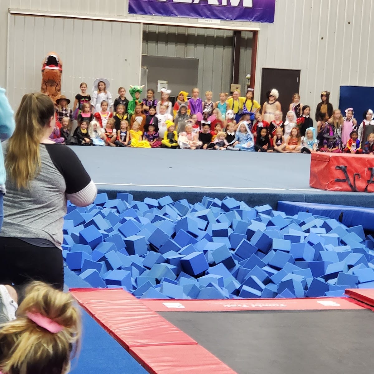 Meks Gymnastic Academy, photo 3