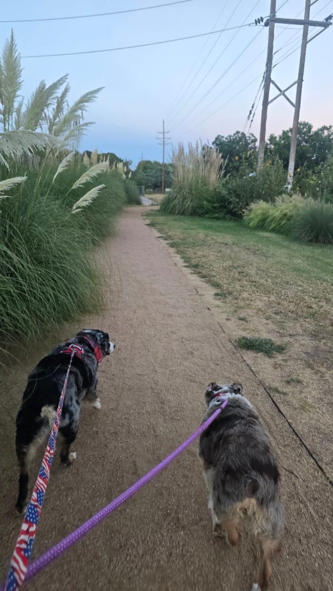 Clapp- Hub City Dog Park