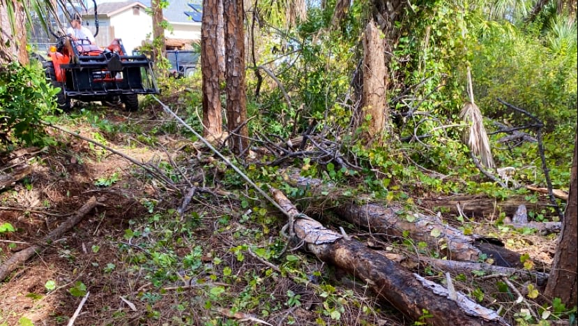Timber Tree Llc, photo 2