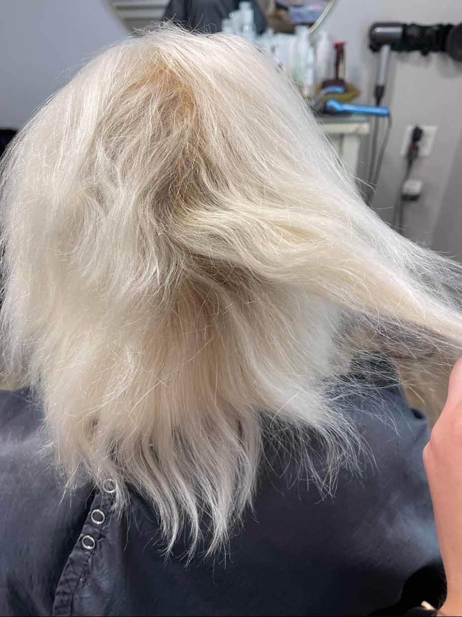 Salon Off Broadway