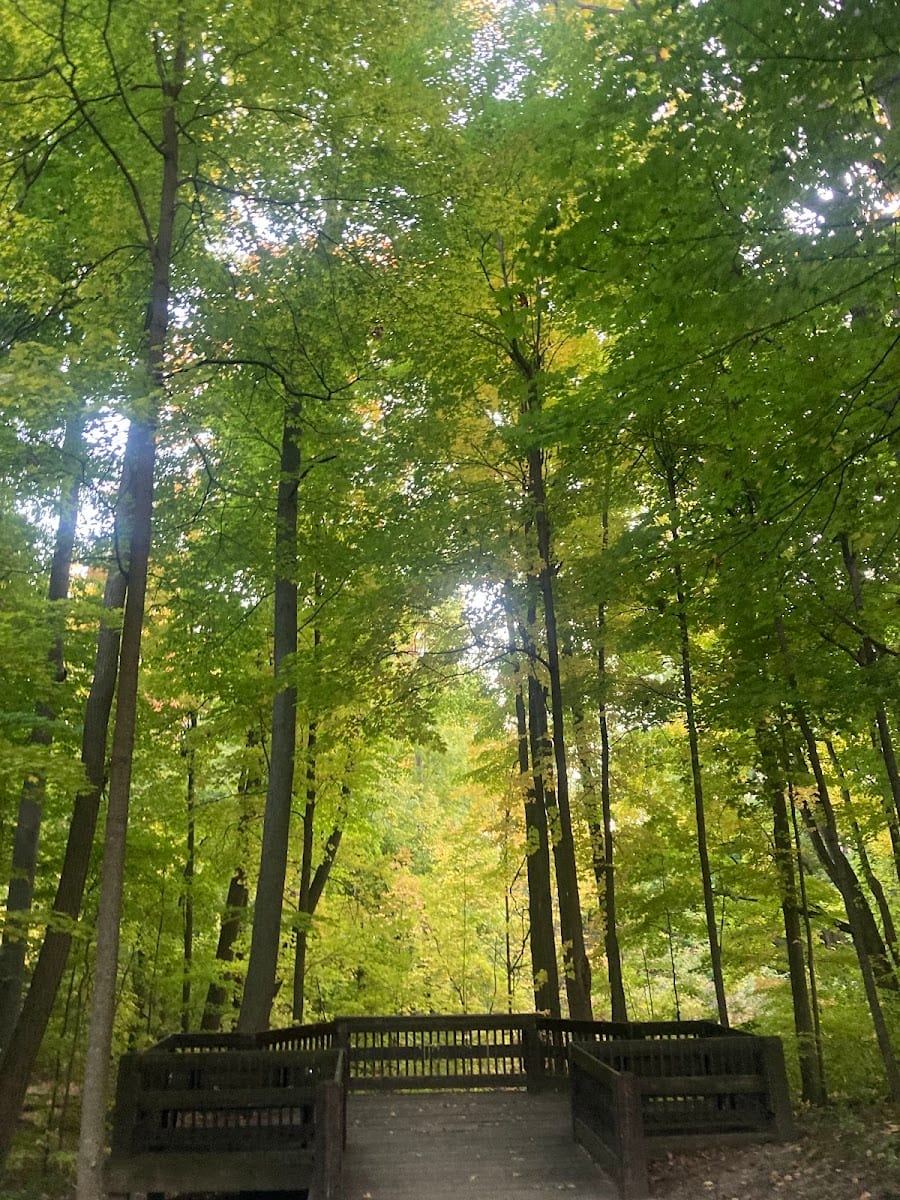 Elgin West Greenway Walk