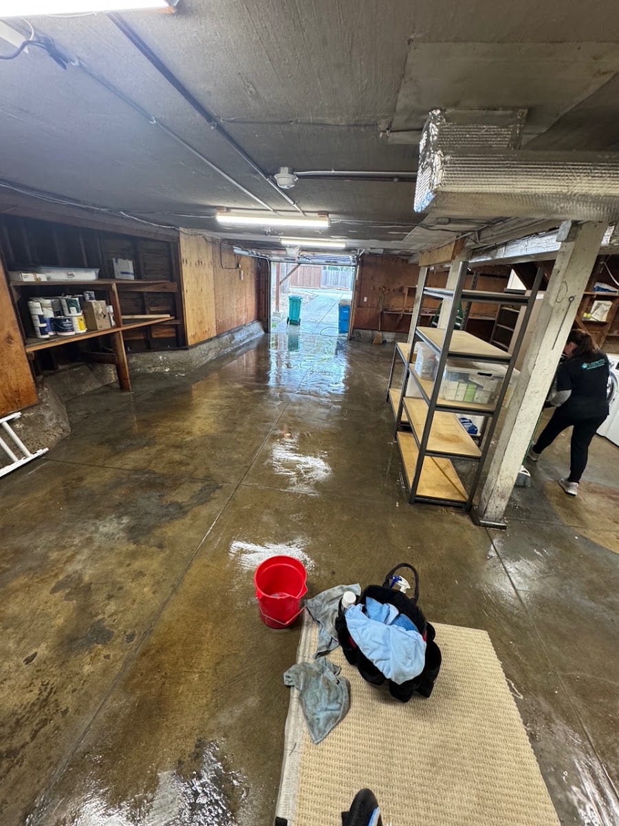 Cleanerific House & Commercial Cleaning
