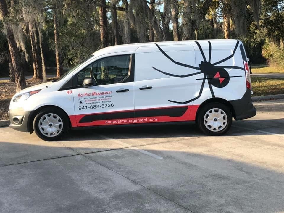 Ace Pest Managment, photo 4