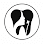 Bliss Dental SF