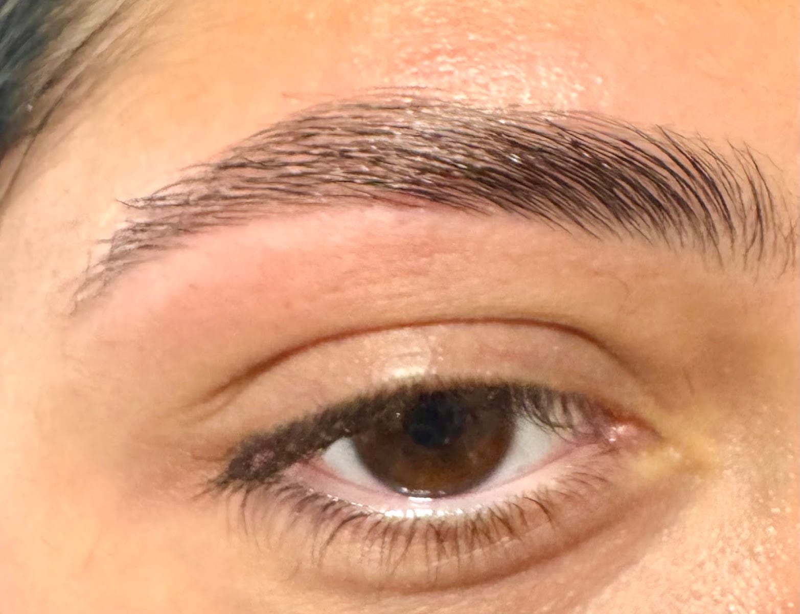 Brows & Beauty Salon, photo 2