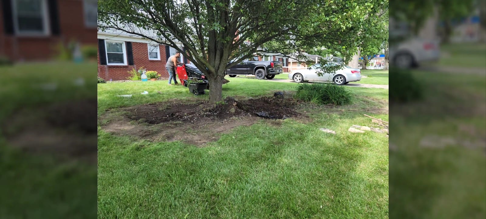 Lines Landscaping LLC, photo 3