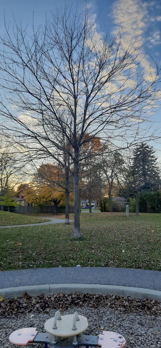 Skopit Park, photo 3