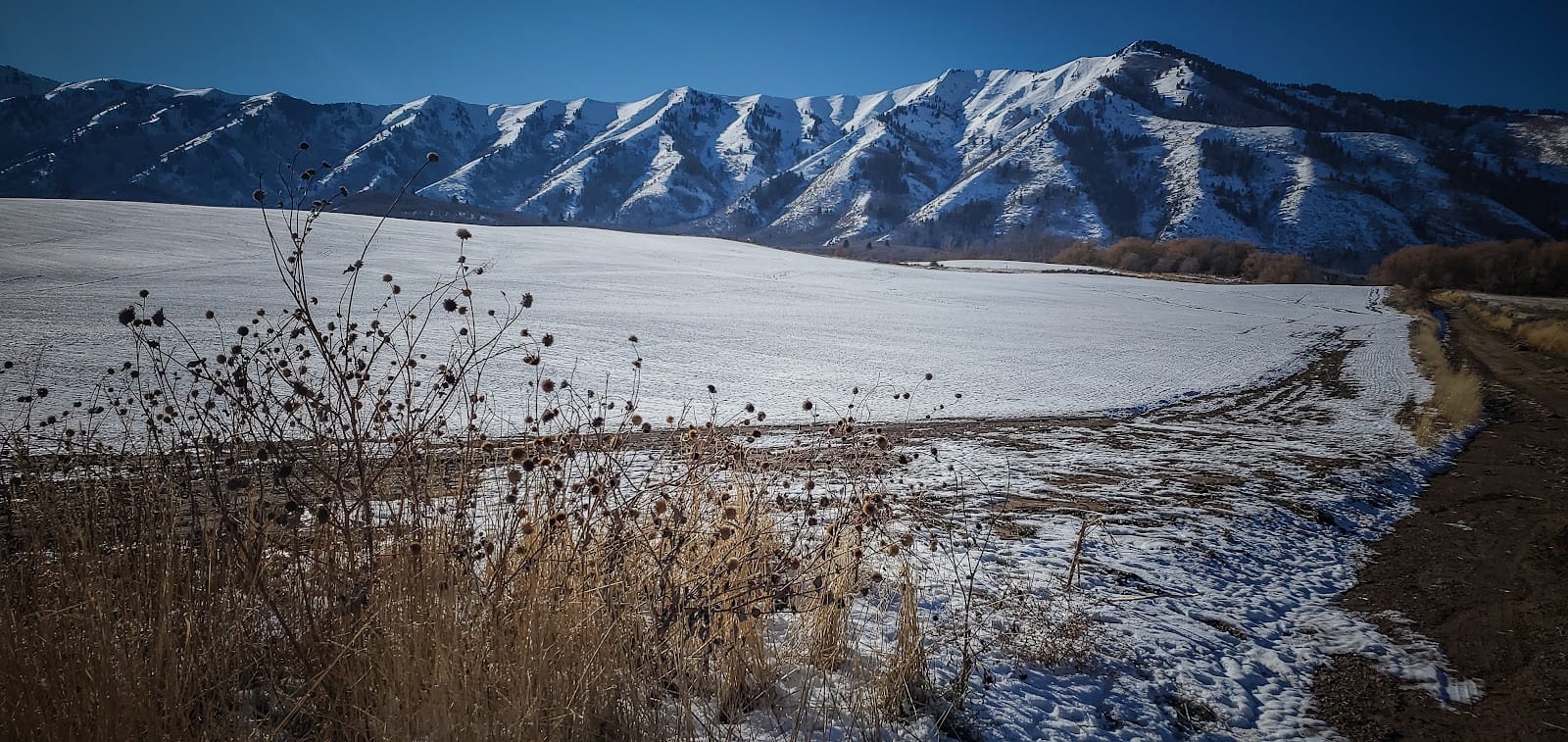 Wellsville Mountain Wilderness