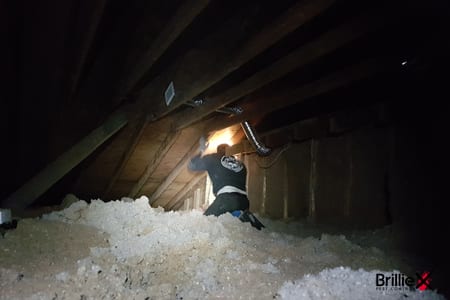Brilliex Pest Control