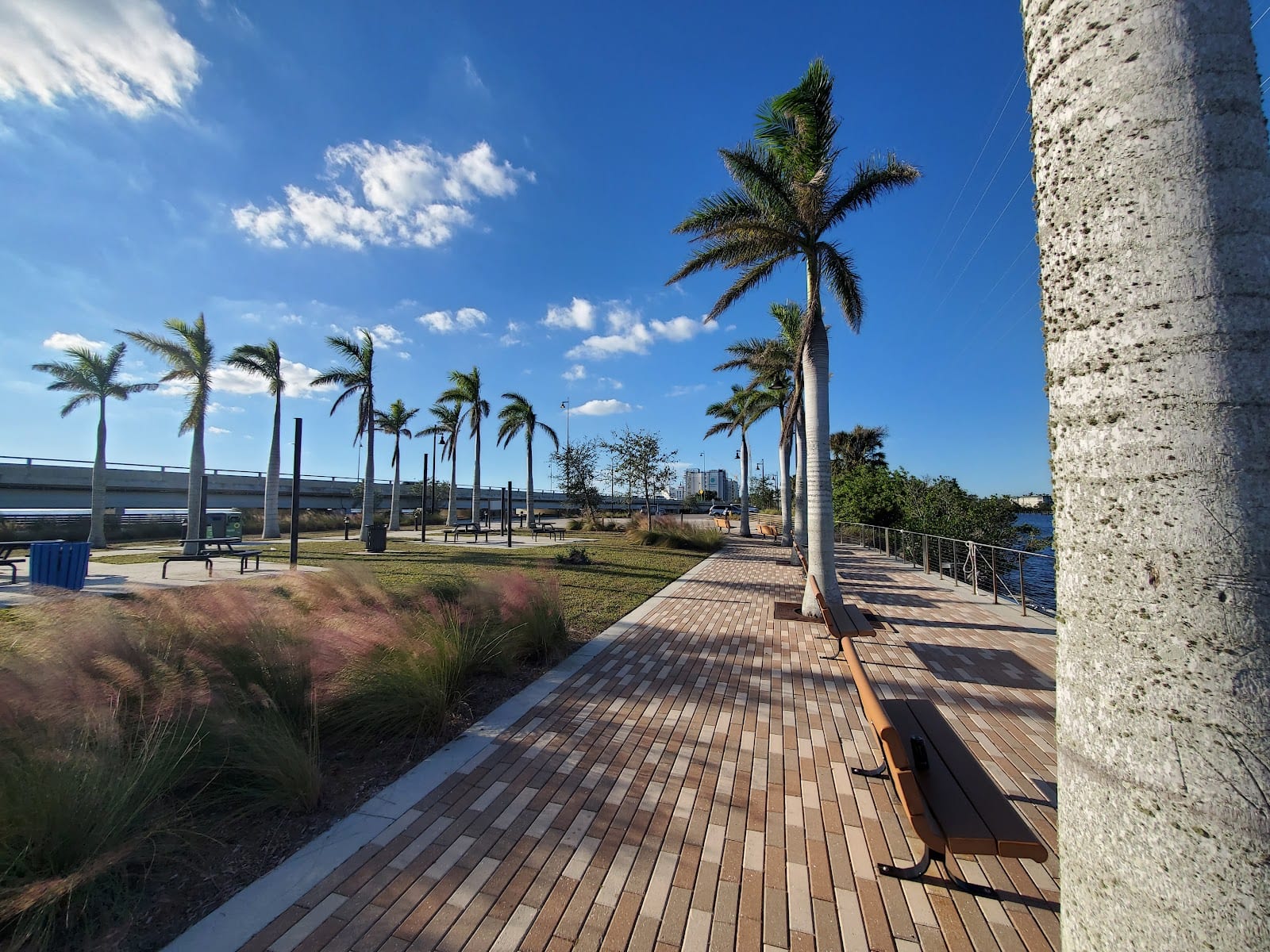 Live Oak Point, photo 3