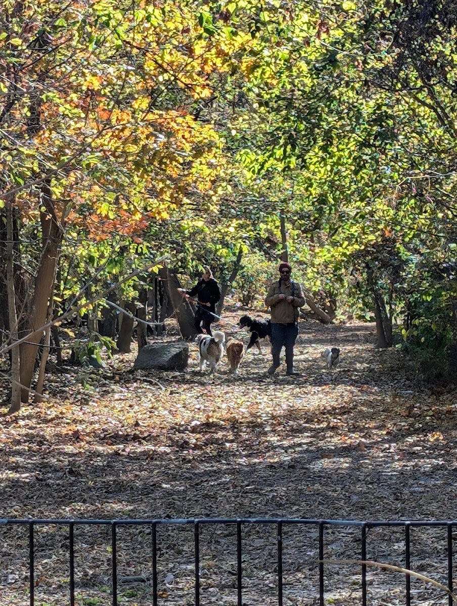 Don Valley Brick Works Dog Park