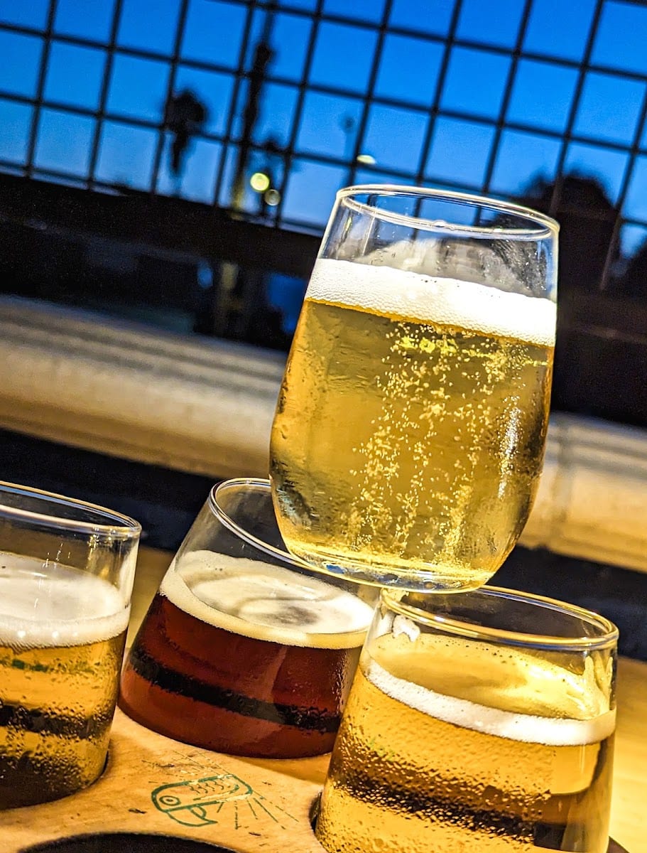 Green Cheek Beer Co.