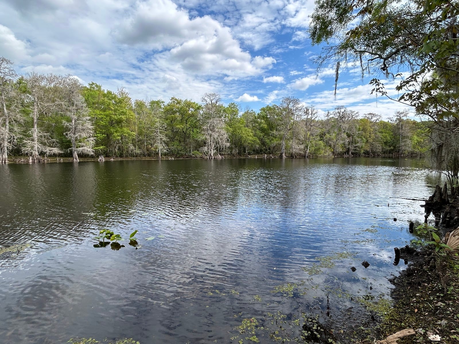 USF Riverfront Park, photo 4
