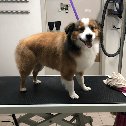 LONE WOLF GROOMING, LLC
