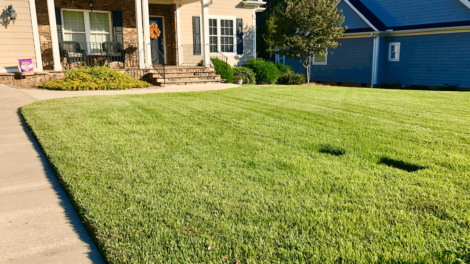 D & S Lawn Care and Landscaping