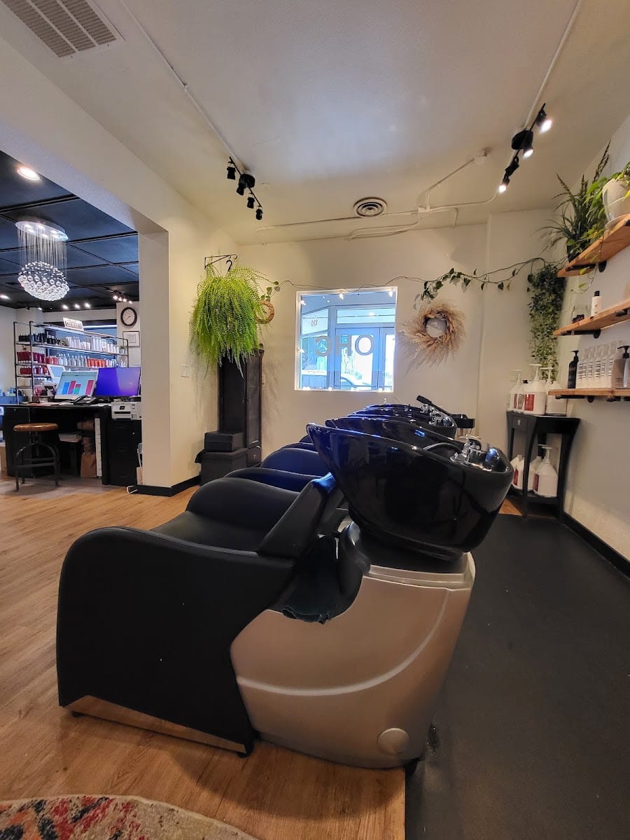 Olympia Hair Company, photo 4