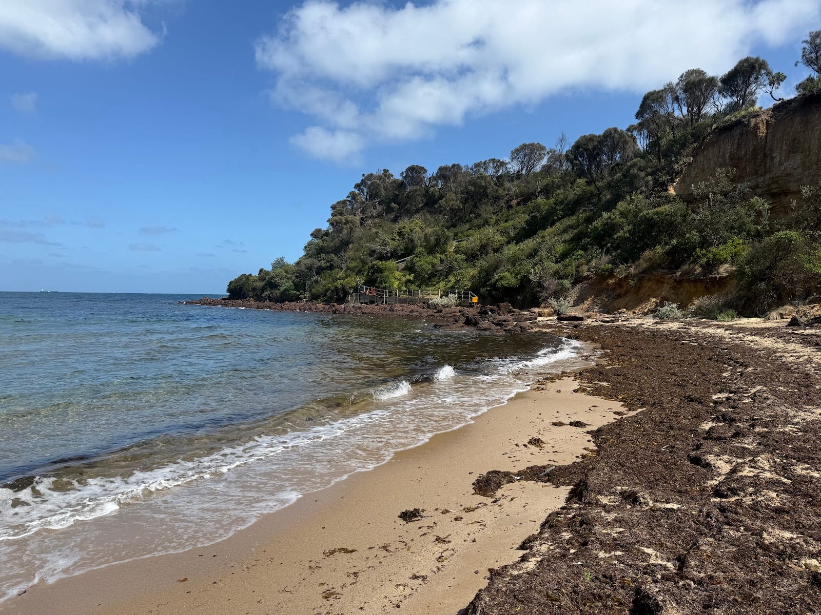 Fossil Beach Dog Off Leash Area