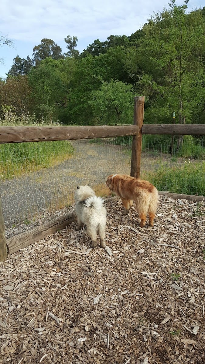 Wappo Park & Dog Park, photo 3