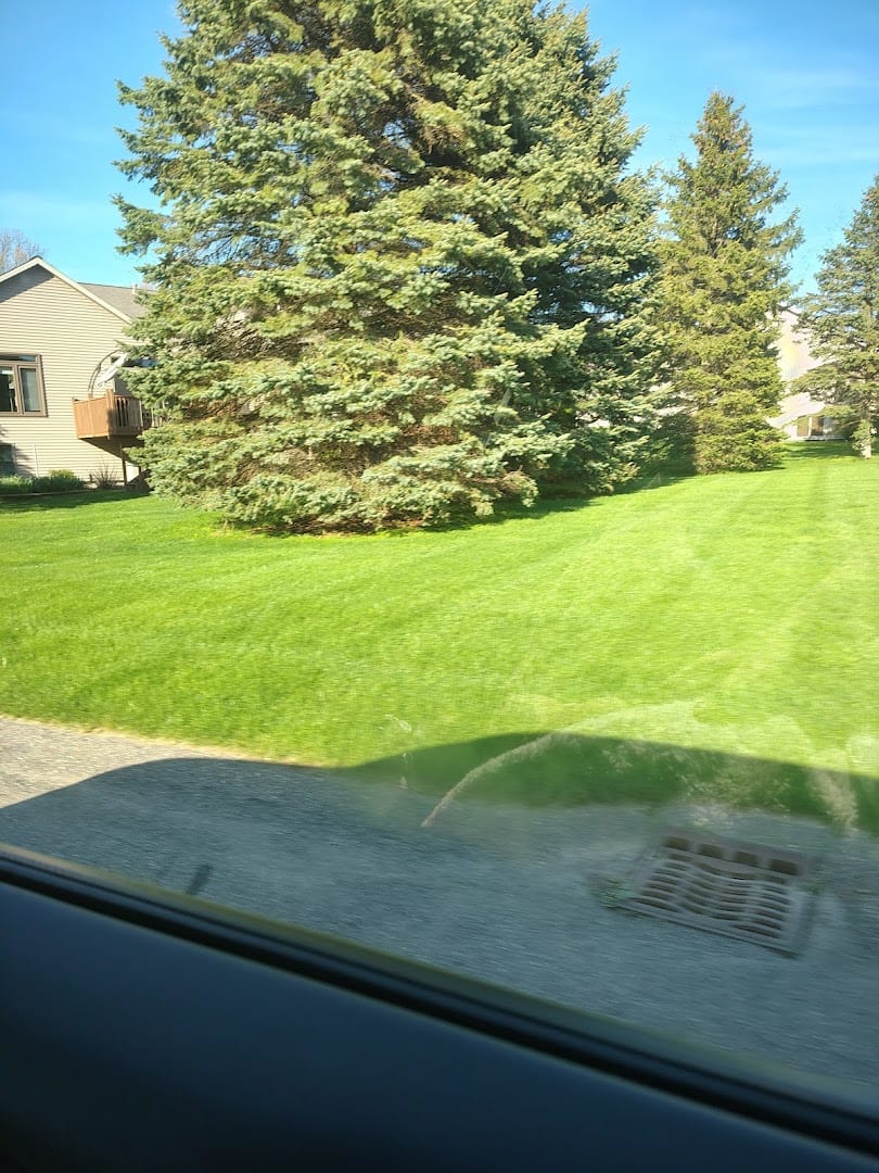 Brawner's Tree Service - Operations Yard, photo 4