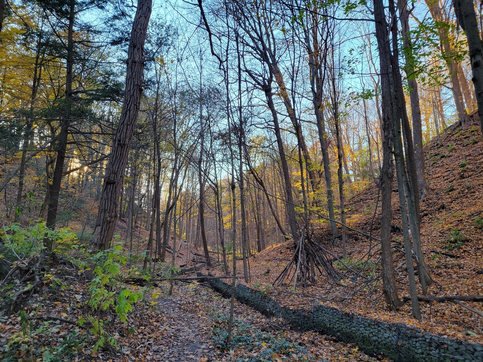 Addington Greenbelt