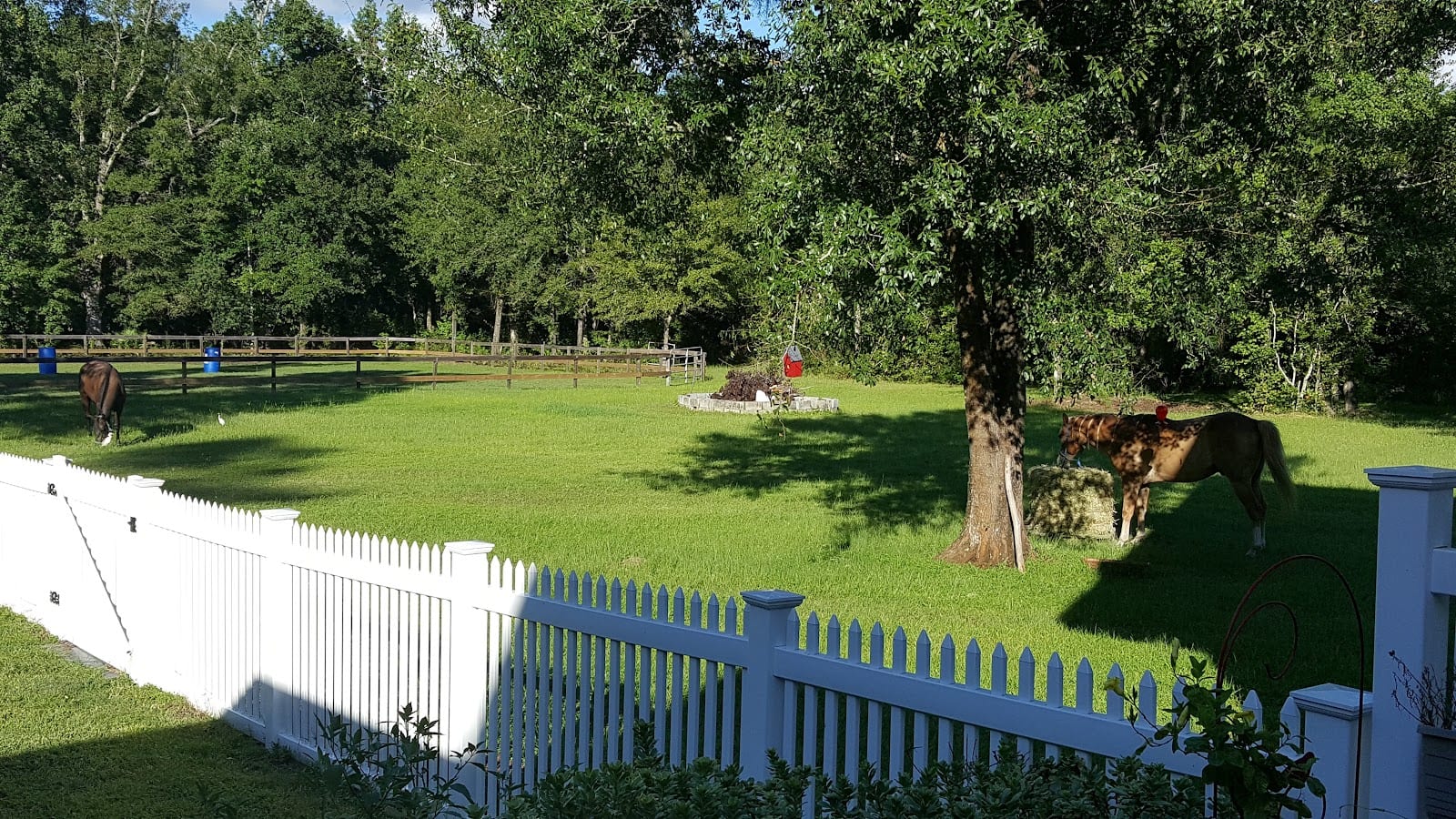 Buddy Bee's Outdoor Services, photo 3