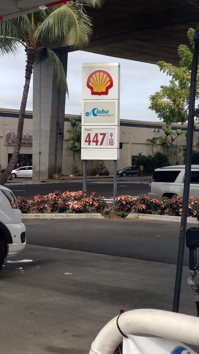 Shell, photo 4
