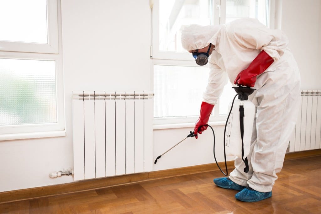 Total Pest control Little Elm