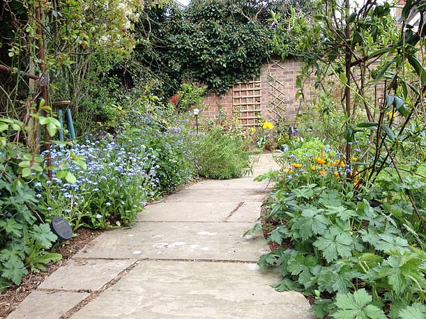 Olive Tree Gardens, photo 4