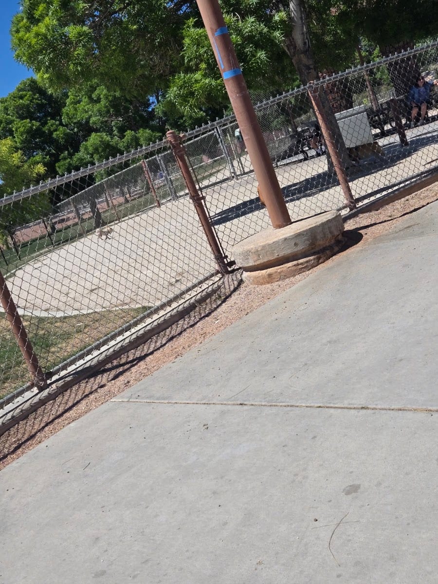 Dog park