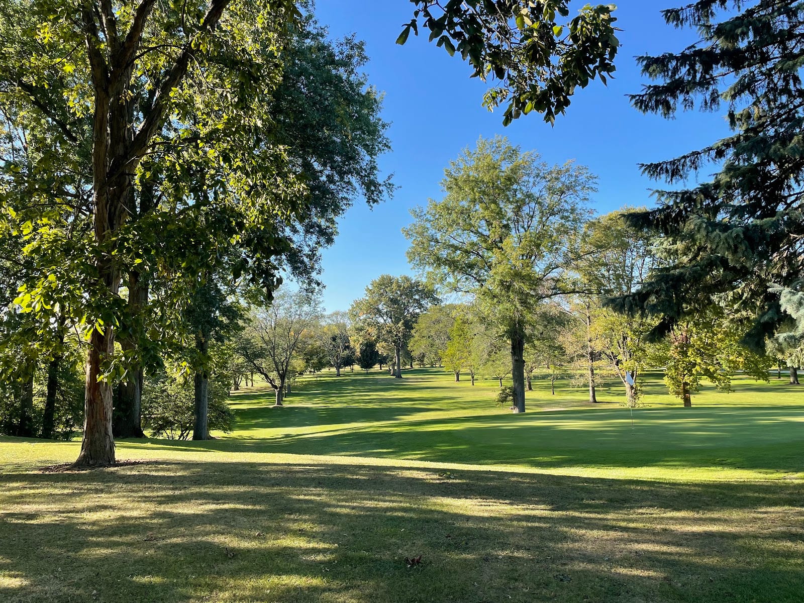 Shoaff Park Golf Course, photo 2
