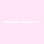 BDOLL Studio
