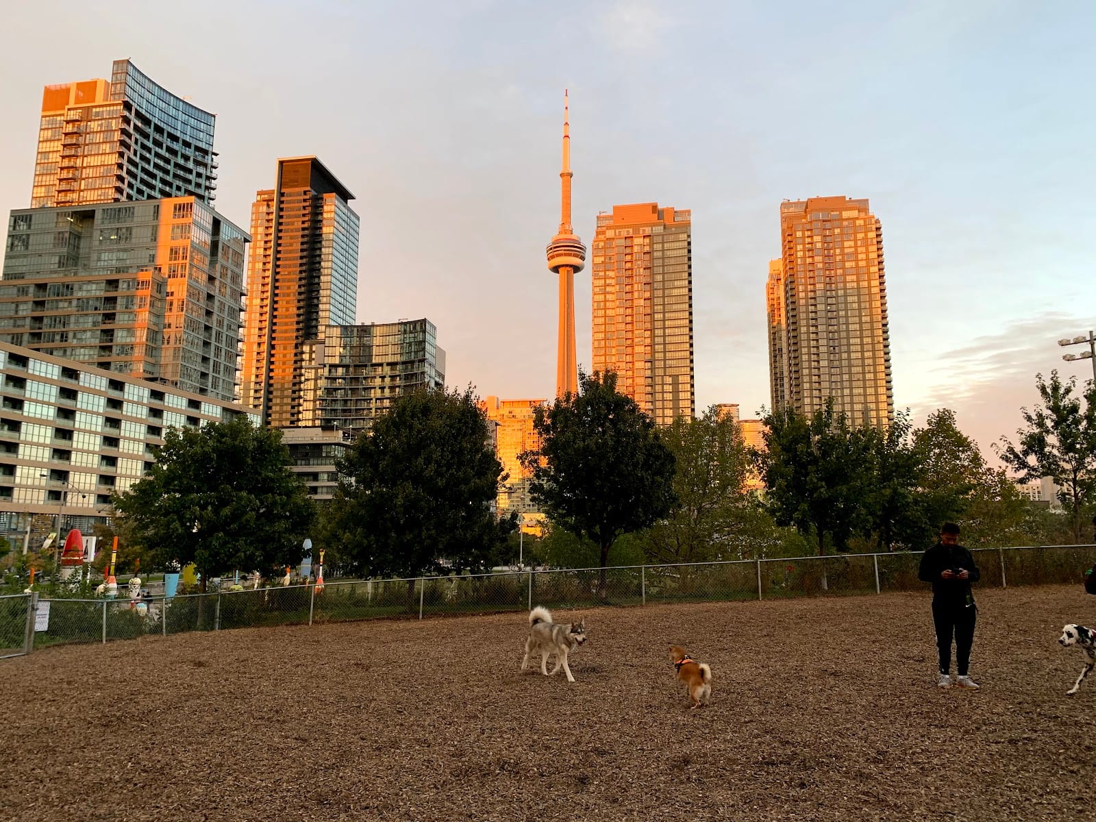 CityPlace Dog Park
