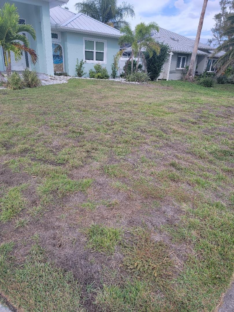 Absolute Lawn And Landscape, photo 2