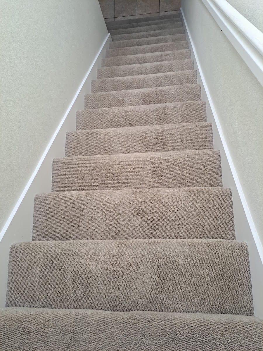 Graham Carpet Care, photo 3