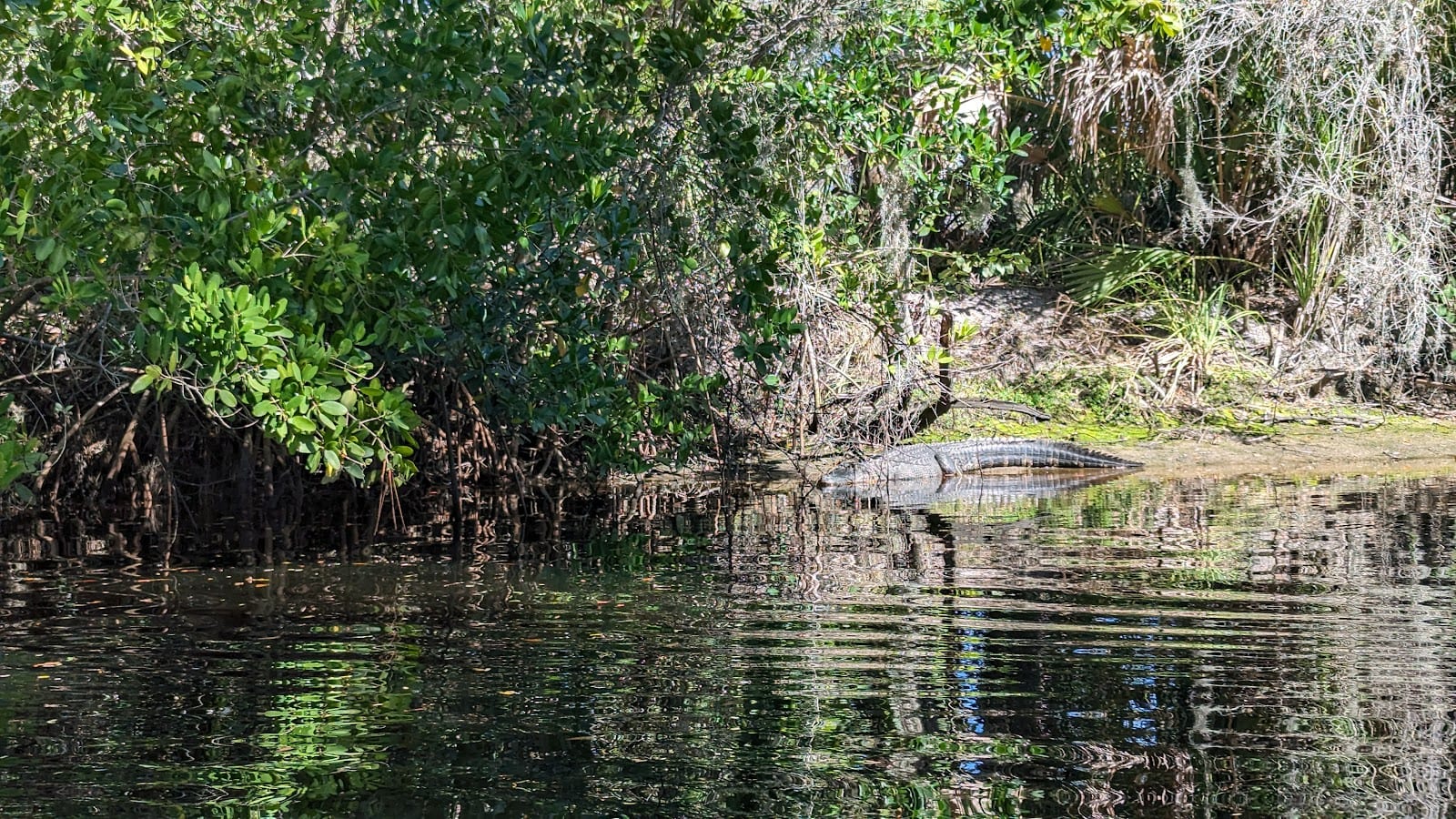 Curry Creek Preserve: West Entrance, photo 2