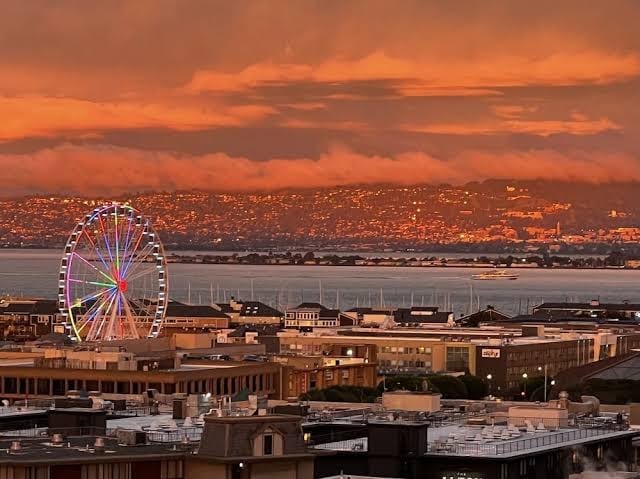 Telegraph Hill 1BR w Gym Sauna nr Muni SFO-361 - One-Bedroom Apartment, photo 2