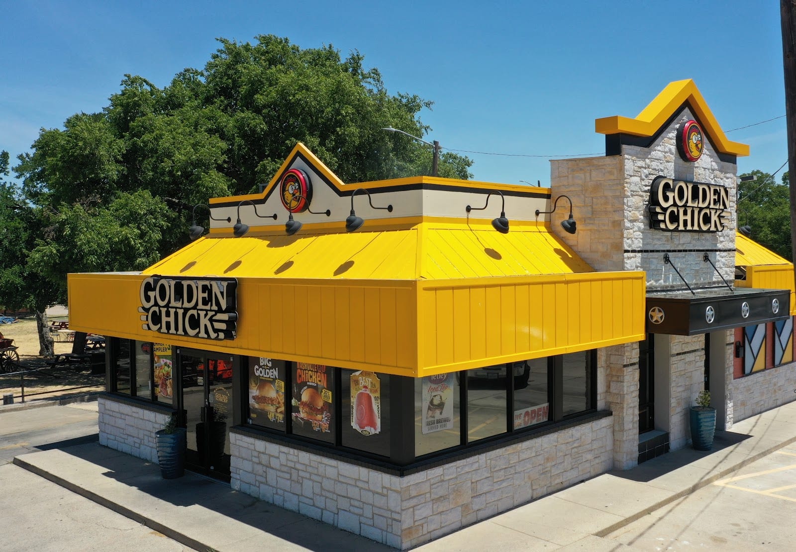 Golden Chick, photo 2