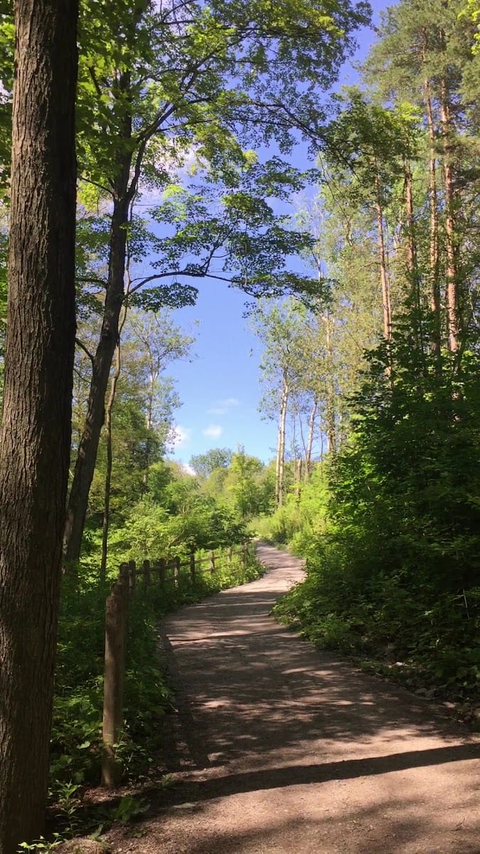 Oak Ridges Corridor, Conservation Reserve, photo 2