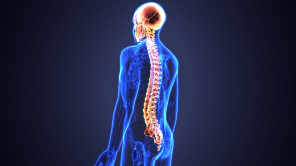 Thrive Chiropractic Group
