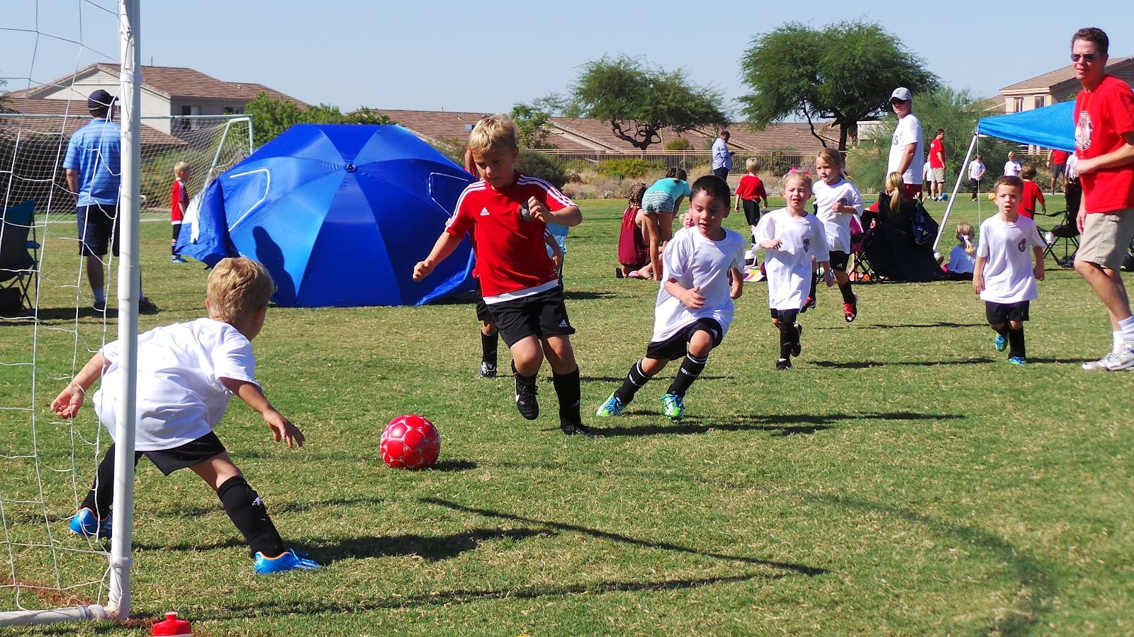 Grayhawk Park