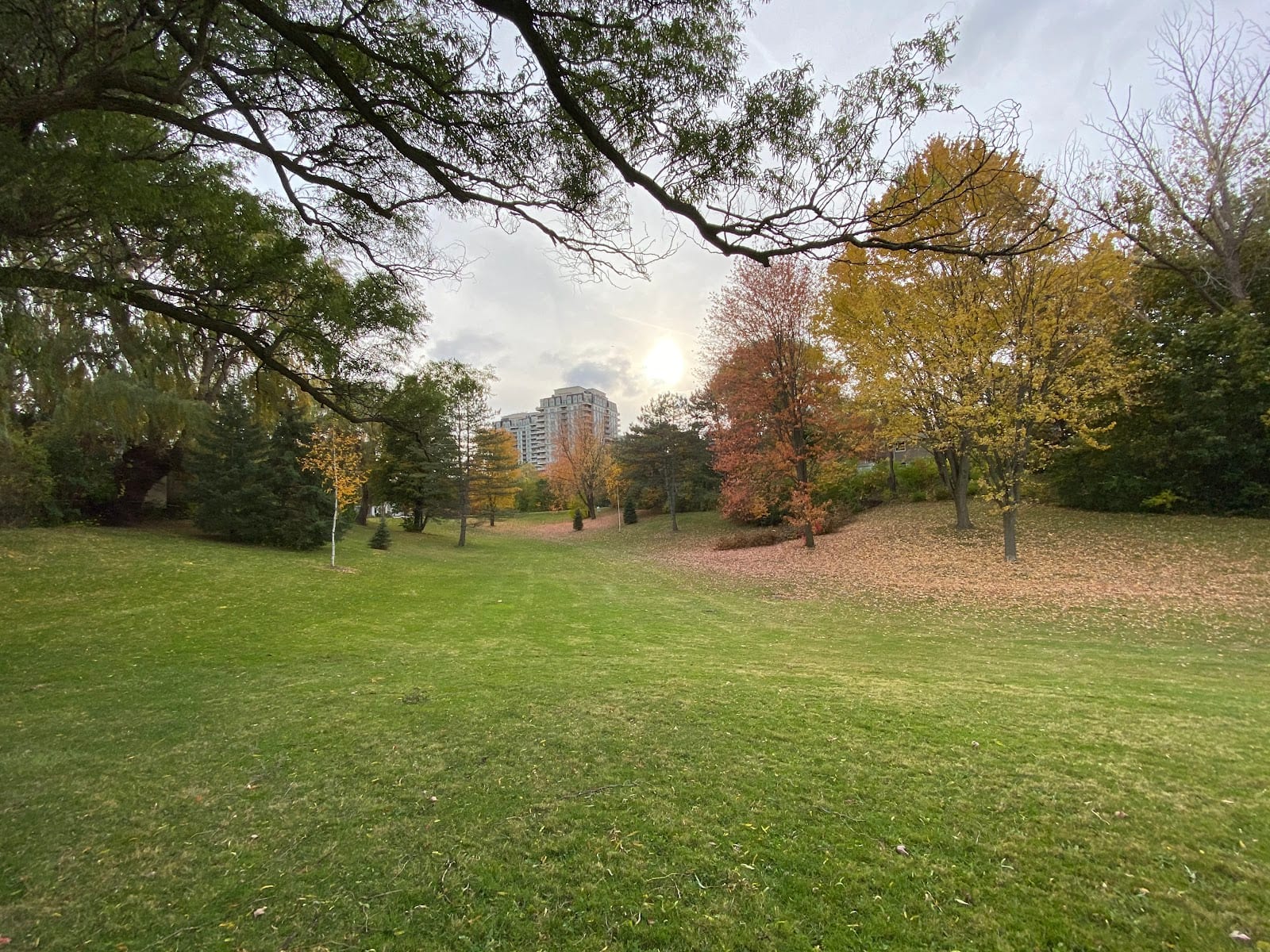 Dallington Park