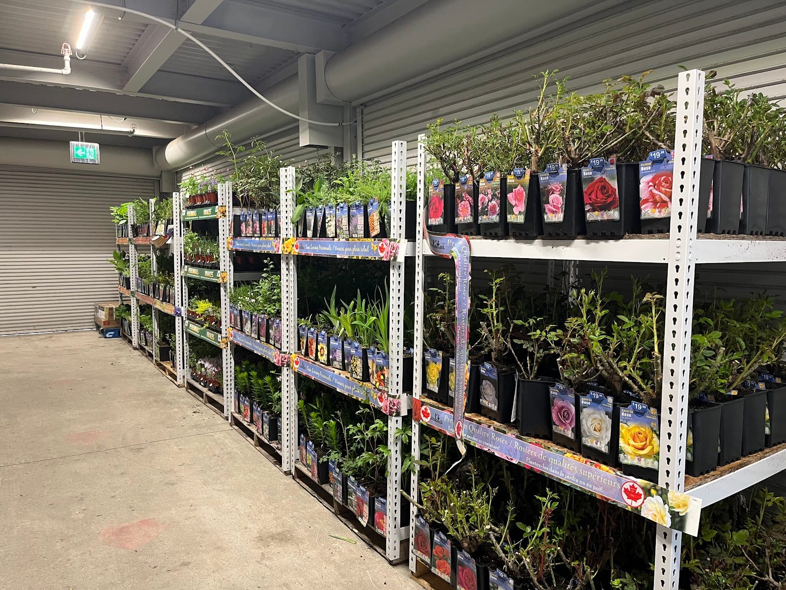 Walmart Garden Centre