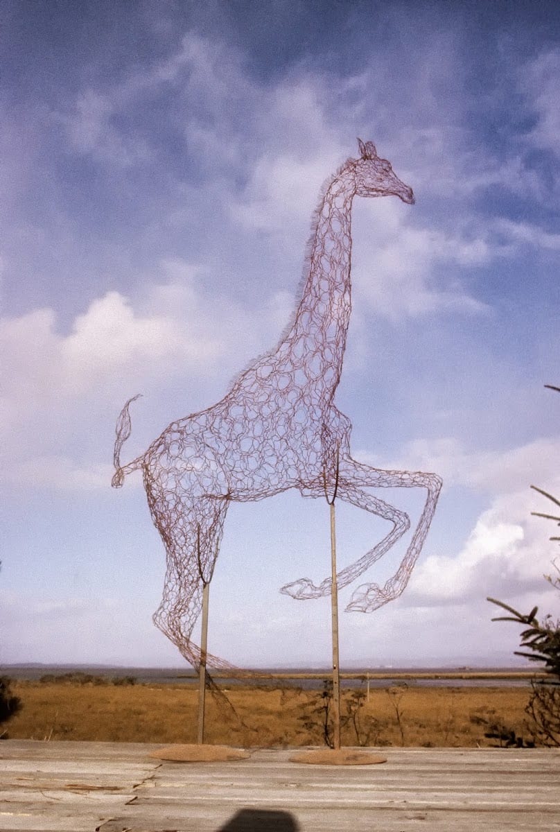 Wire Zoo