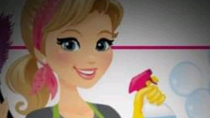 Flakkita's Cleaning Services