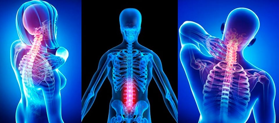 Thrive Chiropractic Group, photo 2