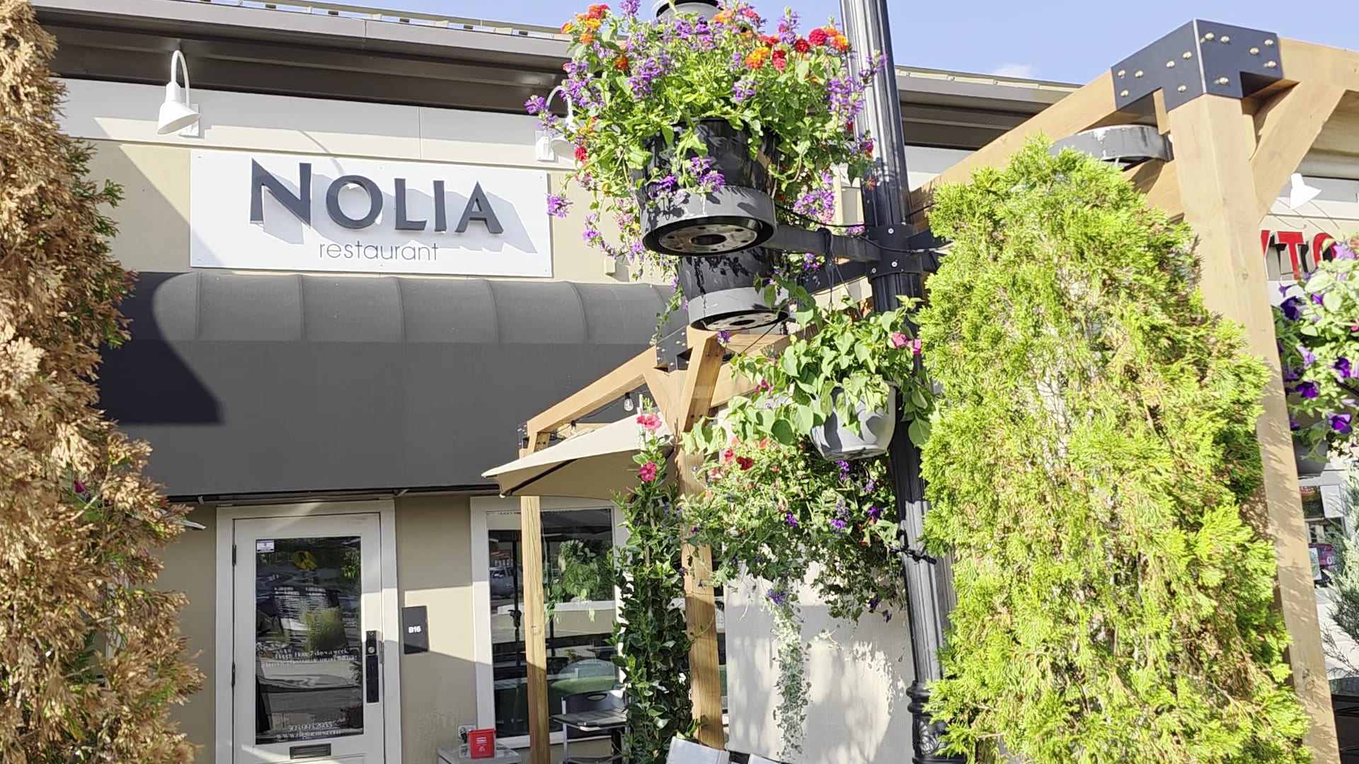 Nolia, photo 2