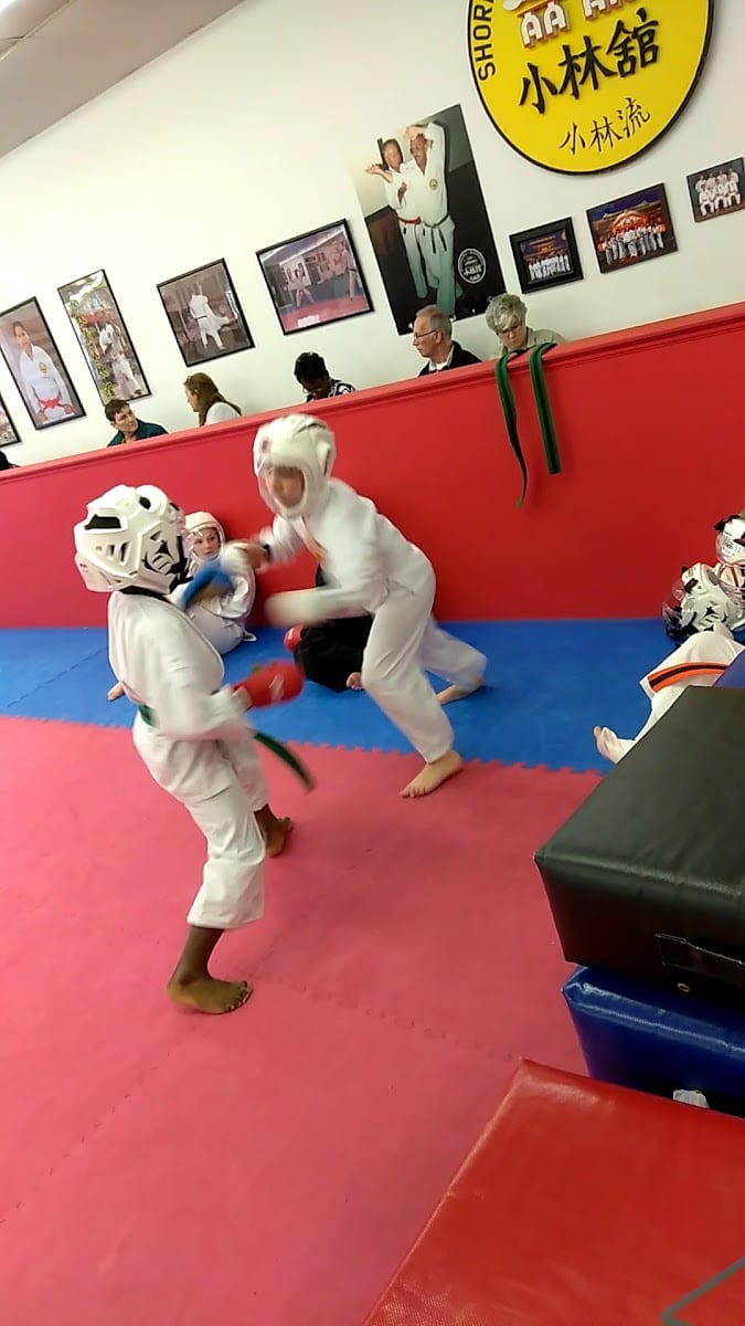Axsom Martial Arts, photo 2