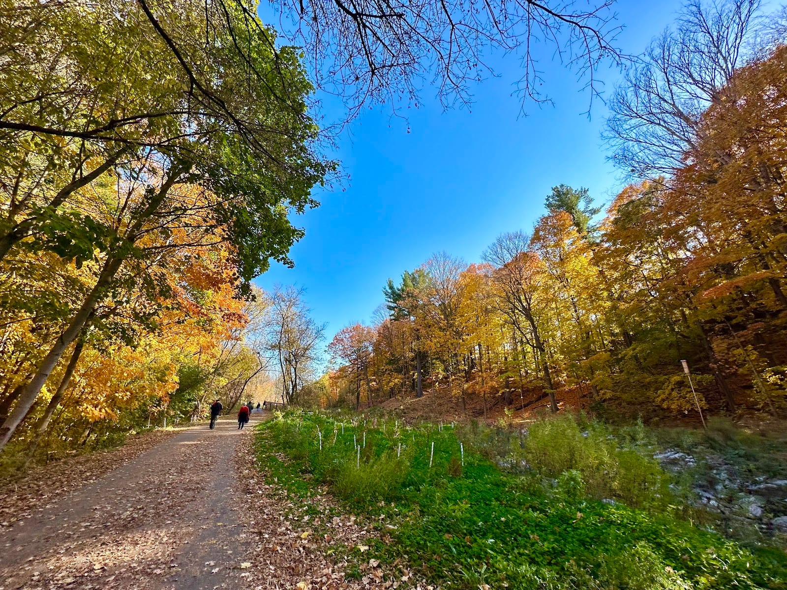 Duncan Creek Park, photo 3